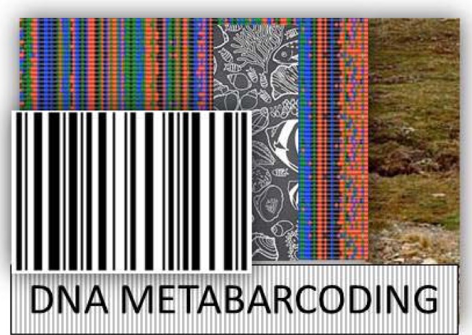 FORUM 2019: Is South Africa ready for metabarcoding?