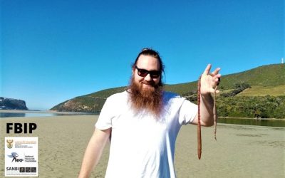 Ex-engineering student first to correctly ID economically important bait worm in one of SA’s most important estuaries