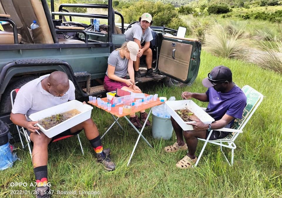 FBIP Waterberg Biodiversity Project reminds us what the programme is  all about