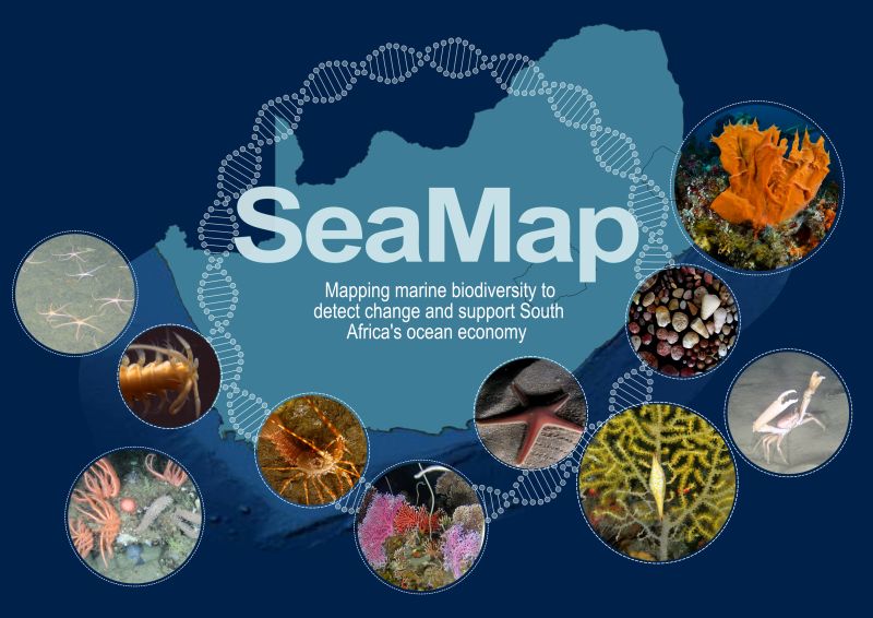 FBIP SeaMap: Mapping marine biodiversity to detect change & support SA’s ocean economy