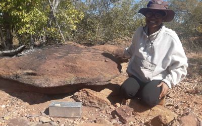Sherman traps? Small mammal team samples for Waterberg Biodiversity Project