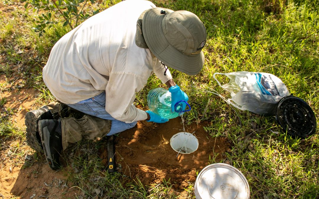 FBIP Waterberg project kicks off 2023 with dung beetle survey