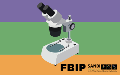 New species: nearly 100 in 9 years for FBIP and why it’s important
